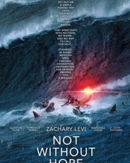 Not Without Hope - VF-Film-Streaming-100-gratuit-sur-netfilms.fr-Netflix-Free stream.netfilm.fr Netflix